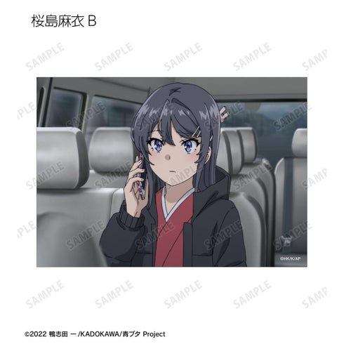 『青春ブタ野郎はおでかけシスターの夢を見ない』トレーディング場面写ブロマイド(単位/BOX)【202509再販】